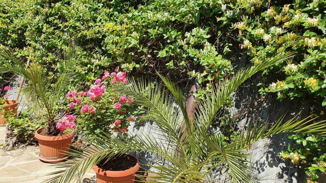Marianas Guesthouse Obsor Exterior foto
